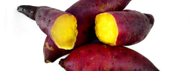 Batata-doce (IGP) de Aljezur, Distrito de Faro (Algarve) &copy; Internet / ilustração