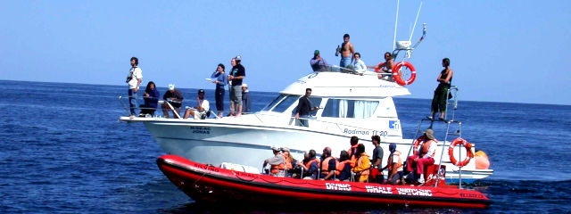 Turismo nos Açores, Guia de Portugal