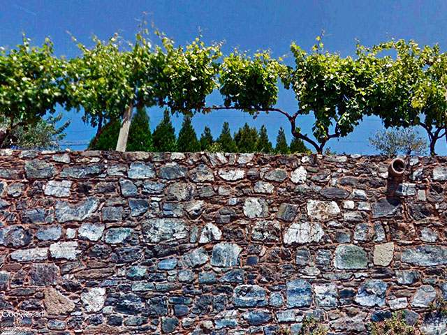 Vinhos de Bragança