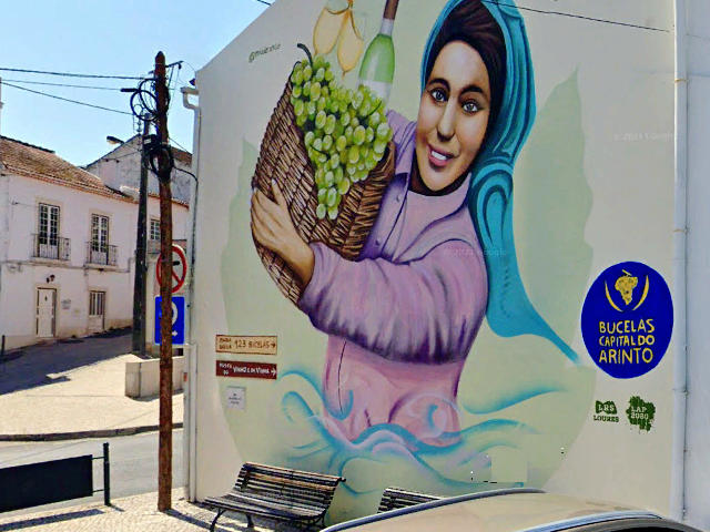 Arredores do Museu do Vinho e da Vinha no Centro de Loures, distrito de Lisboa &copy; Google Earth Pro
