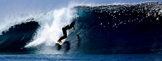 Surf em Cascais &copy; CM Cascais, ilustração