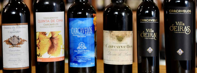 Gama prestigiosa dos Vinhos de Carcavelos DOC, Cascais &copy; / Confraria dos Enófilos dos Vinhos de Carcavelos, ilustração