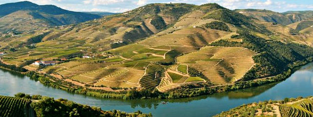 Vinhos do Douro, Guia de Portugal