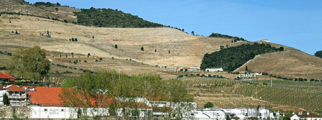 Guia Vinhos de Portugal