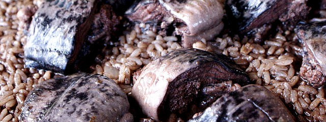 Cozinha portuguesa, Guia de Portugal