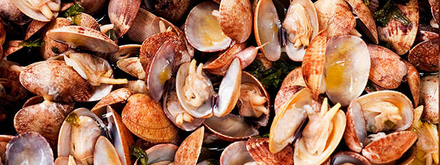 Cozinha algarvia, Lagoa, Distrito de Faro (Algarve) &copy; / Turismo do Algarve, ilustração