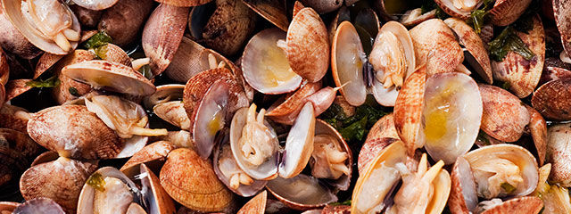 Cozinha portuguesa, Guia de Portugal