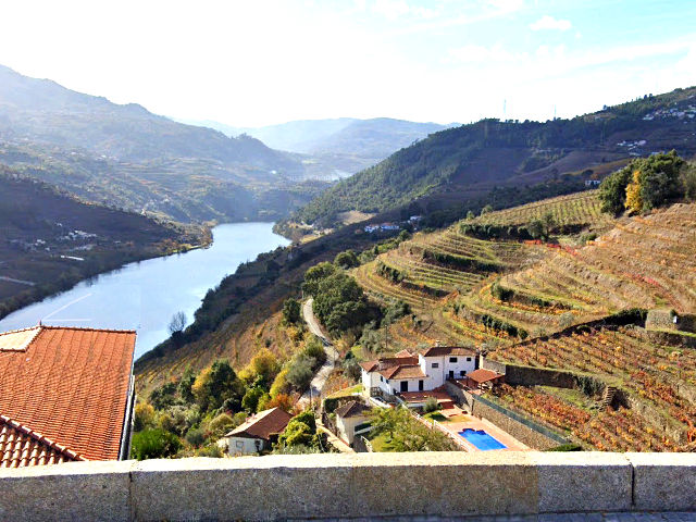 Vinhas do Douro em Vila Real &copy;  Google Earth Pro