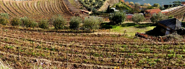 Guia de Portugal