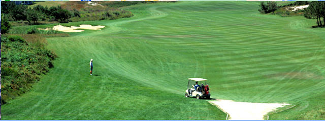 Golfe em Portugal &copy; José Manuel / Images Of Portugal