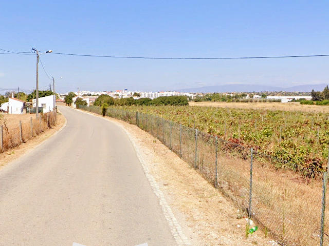 Vinhas em Lagoa, Distrito de Faro, Algarve &copy; Google Earth Pro