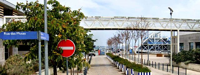 Rua das Musas (Rio Tejo ao fundo), Freguesia do Parque das Nações, Lisboa &copy; Google Earth Pro