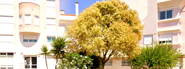 Rua Fernando Cabral, Freguesia de Santa Clara, Lisboa &copy; Google Earth Pro