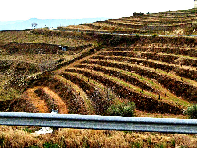Guia de Portugal