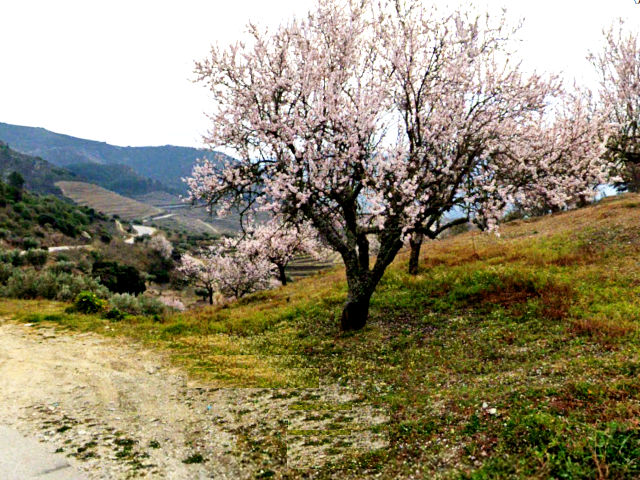 Guia de Portugal