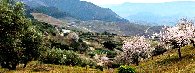 Guia de Portugal