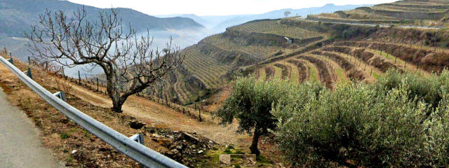 Guia de Portugal