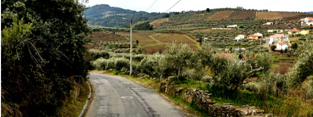 Guia de Portugal