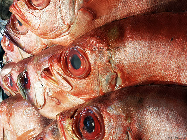 Guide to Portugal's Gastronomy