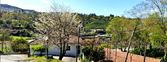 Guia de Ribeira de Pena