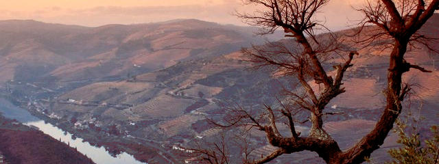 Guia de Portugal