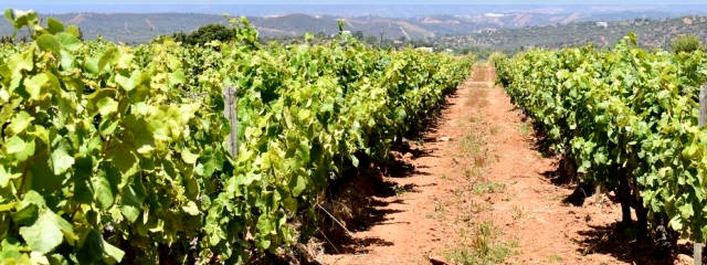 Guia de Silves, Portugal