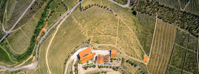 Vinhos do Douro, Guia Vila Real, Portugal