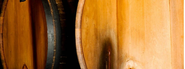 Guia Vinhos de Portugal